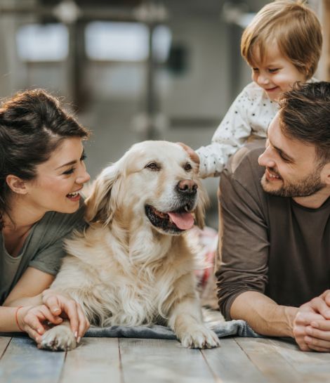 property management servivices